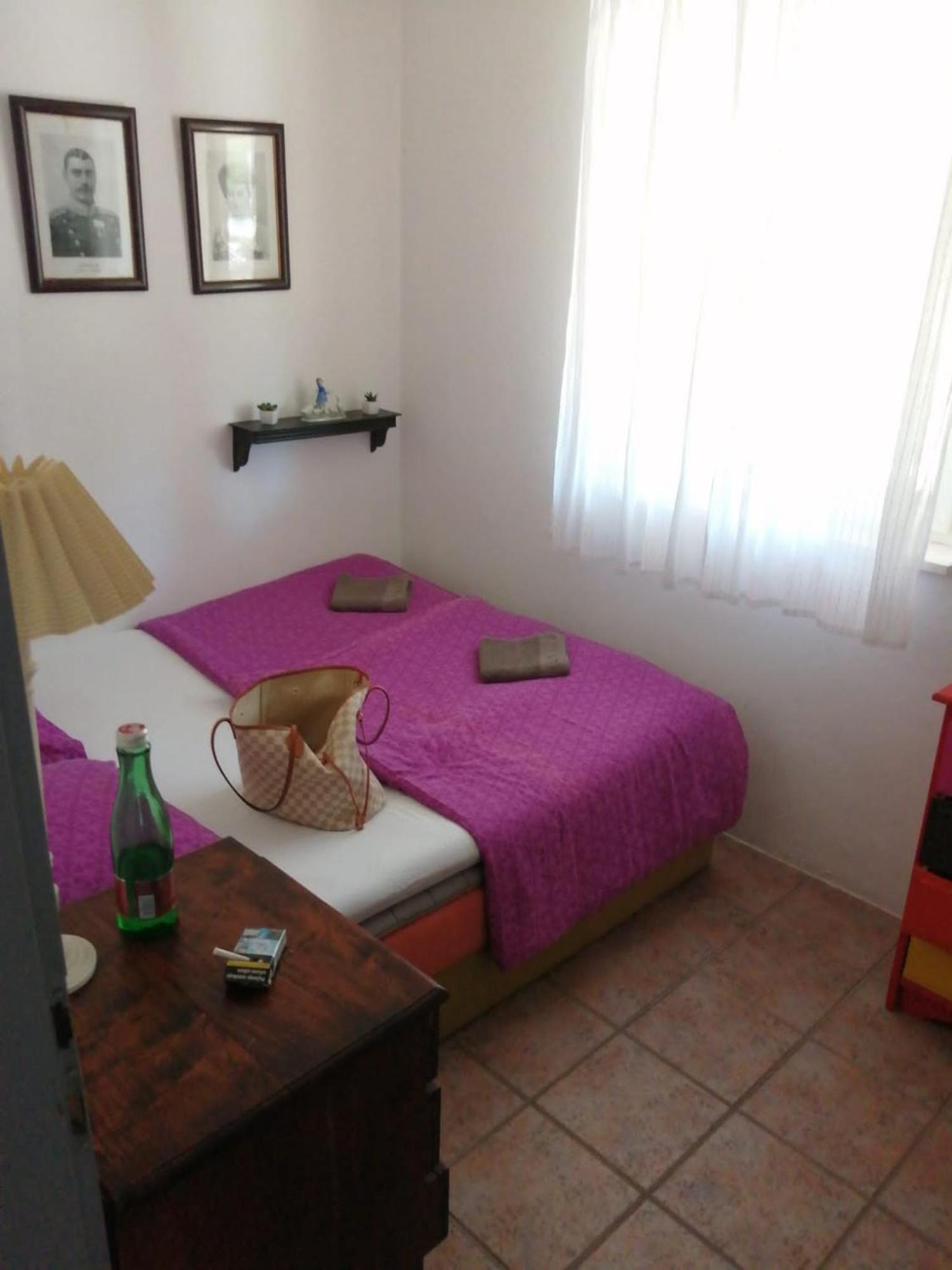 הוילה סוטיבאן Maslina House מראה חיצוני תמונה